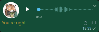 WhatsApp audio message displaying You're right. in English beneath the waveform